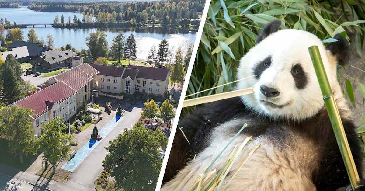 Ähtäri joutui kriisikunnaksi jo kolmannen kerran – asiantuntija: Merkki siitä, ettei päätöksenteko toimi | Kotimaa