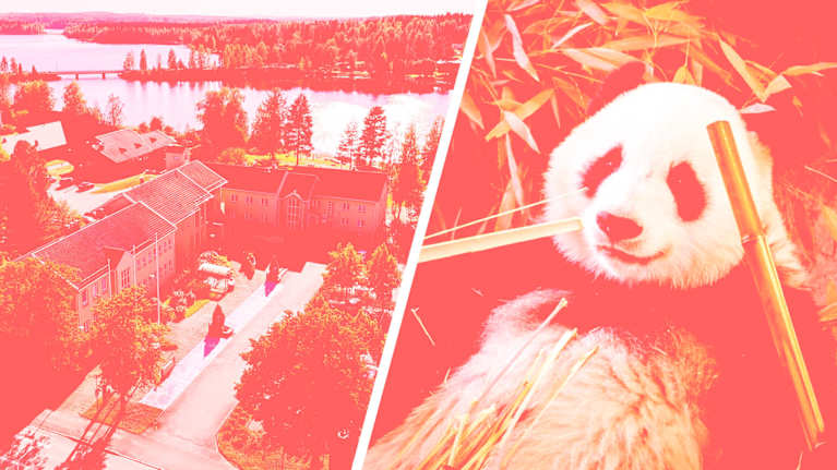 Punaiseksi värjätty kaksiosainen kuva, jossa vasemmalla puolella rakennuksia ja järvimaisemaa, oikealla puolella panda syömässä bambua. 
