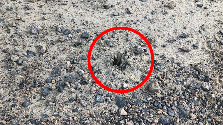 Ruuvi  maassa Siilinjärvellä.