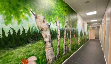 Satutaitelija teki ison muraali­kokonaisuuden Rovaniemelle ilman palkkiota | Lappi