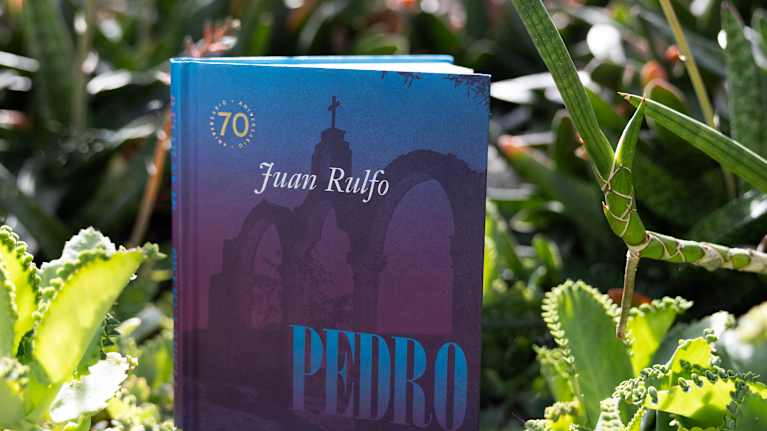Kuvassa on Juan Rulfon klassikkokirja "Pedro Páramo" asetettuna aavikkokasvien keskelle.