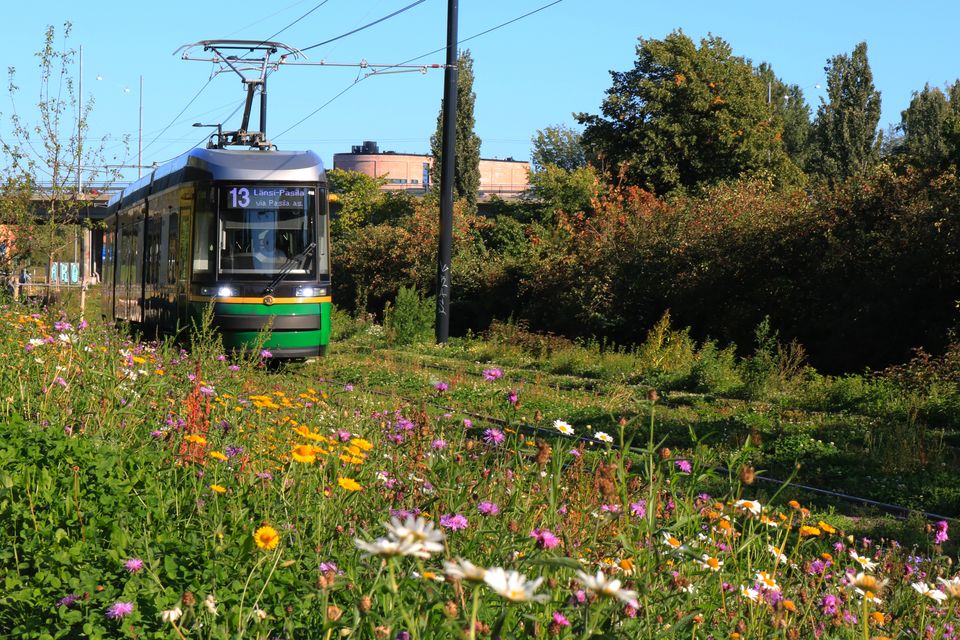 Raitiolinjan 13 ympäristö ihastuttaa monimuotoisuudellaan