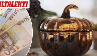 Ostaisitko hittikulhon – Hinta Tori.fi:ssä ällistyttää