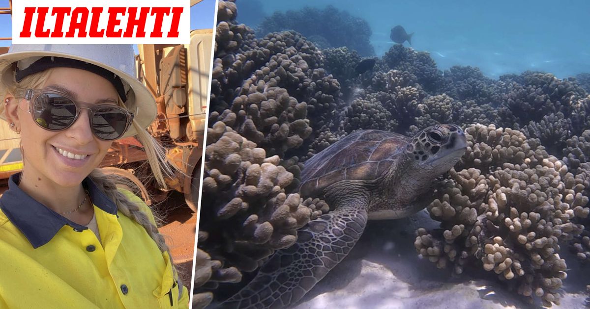 Henna, 31, siirtyi kauneusalalta vaaralliseen työhön Australiassa – Kovat tulot ja pitkät vapaat