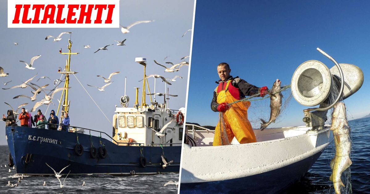 Venäjä aloittaa vastatoimet Norjaa kohtaan