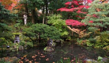 Millainen luonto elvyttää? Aalto-yliopiston tutkijat avaavat erilaisten viherympäristöjen elvyttävyyden näkyviä ja näkymättömiä piirteitä