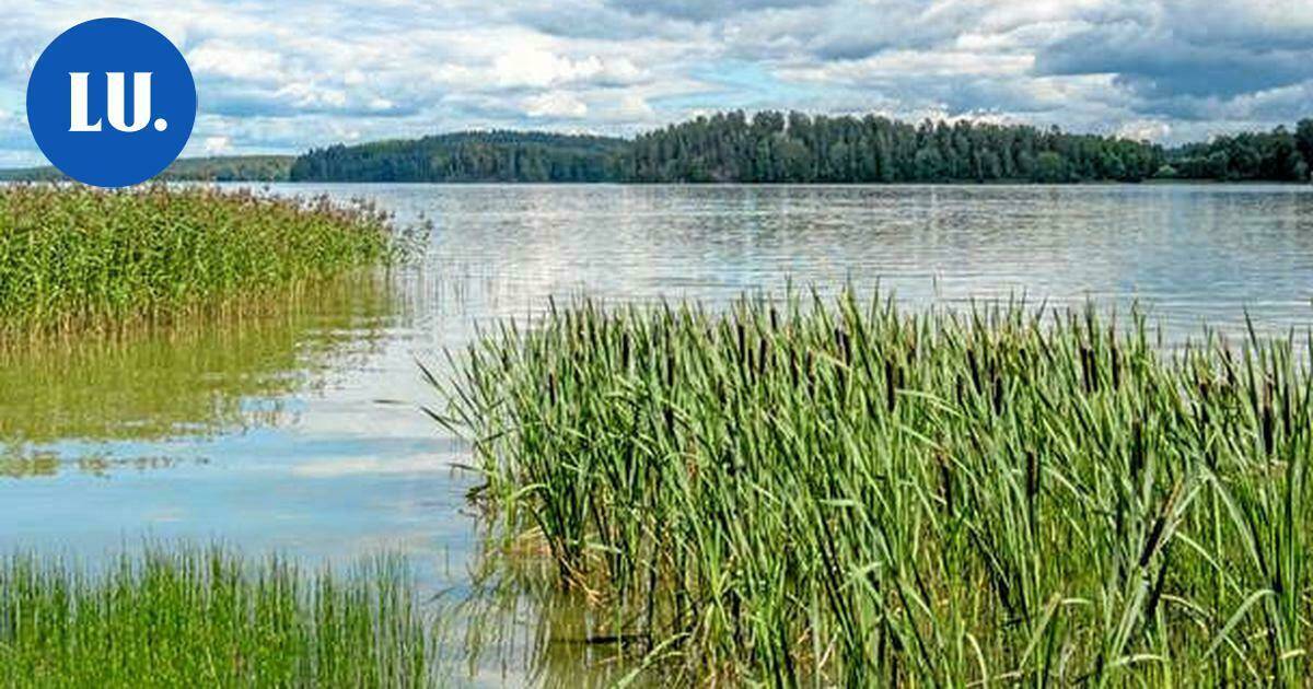 50-vuotias Länsi-Uudenmaan vesi ja ympäristö ry järjestää juhlawebinaarin toukokuussa | Paikalliset