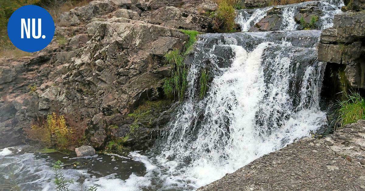 Ympäristö | Nurmijärvi asettaa tavoitteensa uuden ympäristö- ja ilmasto-ohjelman myötä – tätä se tarkoittaa konkreettisesti | Paikalliset