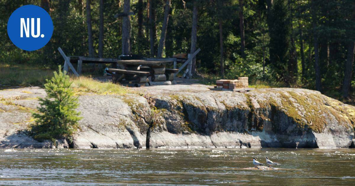 Ympäristö | Näin Vihtilammen juoksutuksia tarkkaillaan lähivuosina | Paikalliset