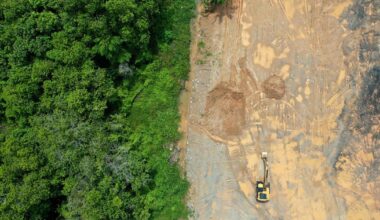 Mitä väliä on luonto- ja ilmastokokouksilla? | Tiedekulma