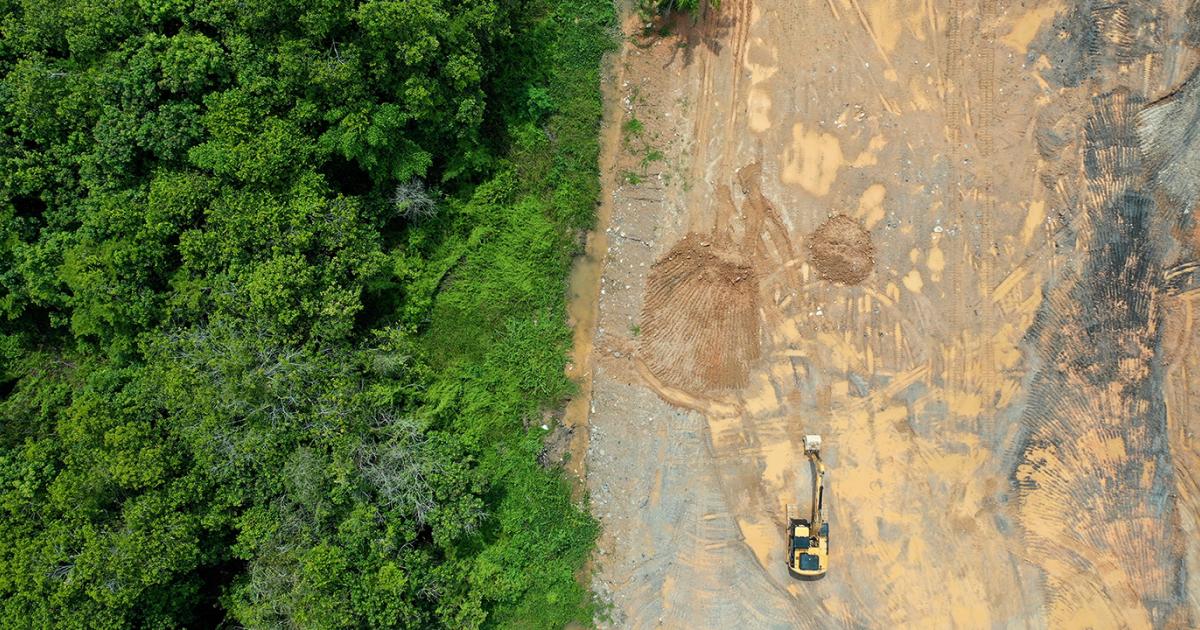 Mitä väliä on luonto- ja ilmastokokouksilla? | Tiedekulma
