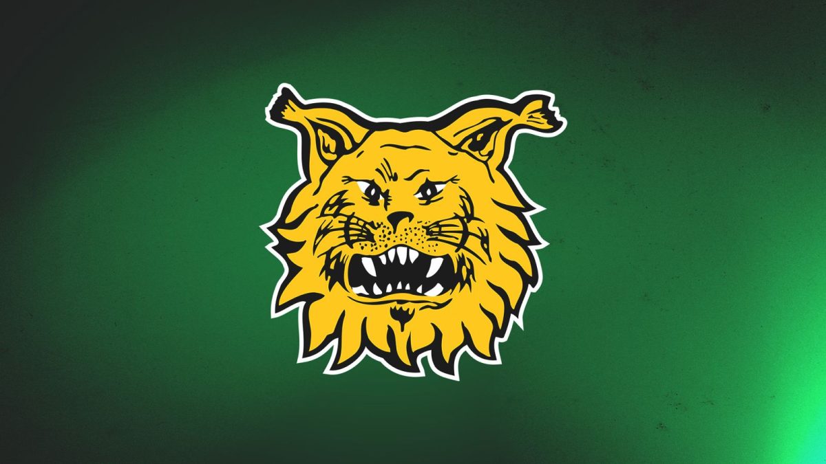 Ilveksen puheenvuoro yhteisölle ja kannattajatoimintaan liittyen – Tampereen Ilves