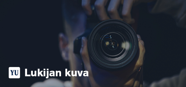 Lukijan kuva: Valkoposkihanhet pysähtyivät Ylöjärvellä - Ylöjärven Uutiset