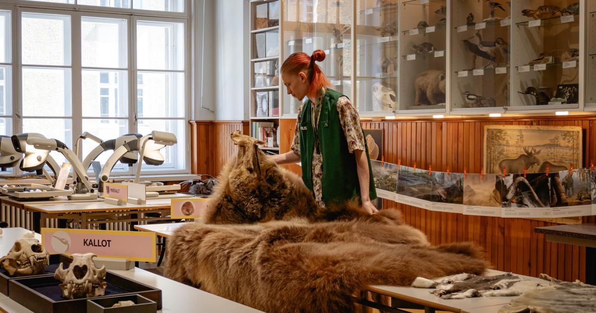 Luonto- ja tiedekasvatus | Luonnontieteellinen keskusmuseo