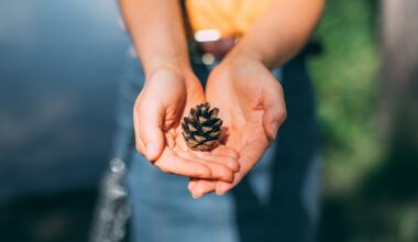 Luonto kutsuu liikkumaan – Ota syksyn Reitistöviikon haaste vastaan!
