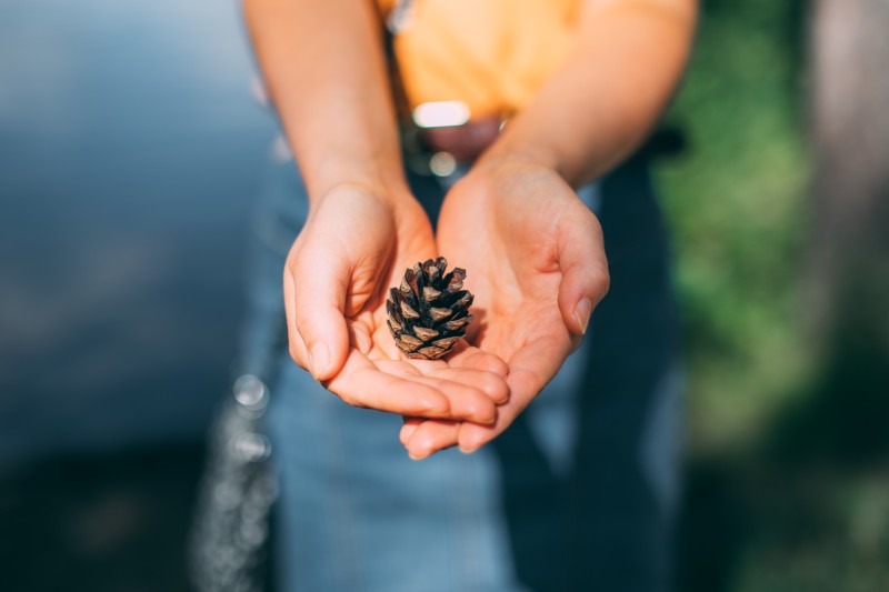 Luonto kutsuu liikkumaan – Ota syksyn Reitistöviikon haaste vastaan!