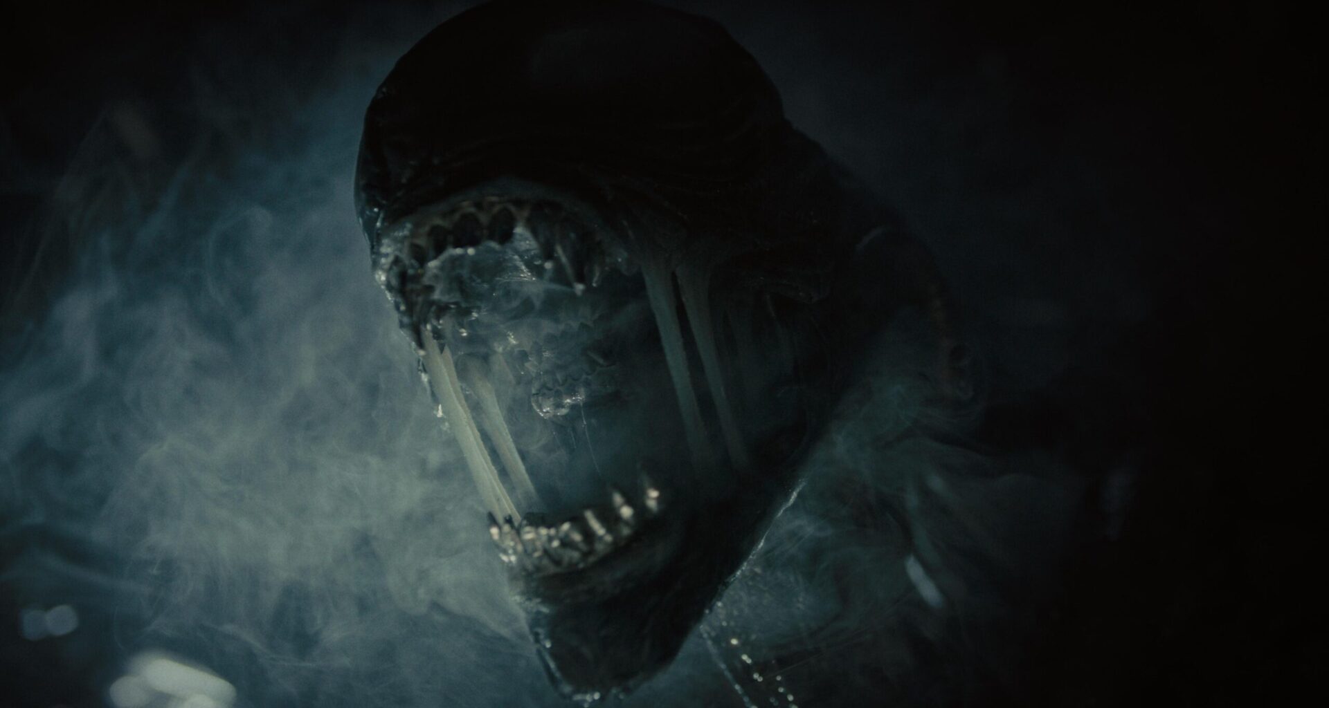 Ridley Scott puhuu Gladiator 3:sta ja kolmannesta Alien-esiosasta