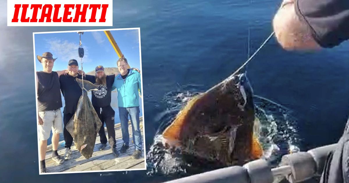 Jättimäinen “mörkö” nousi vedestä – Teemu tienasi 550 euroa