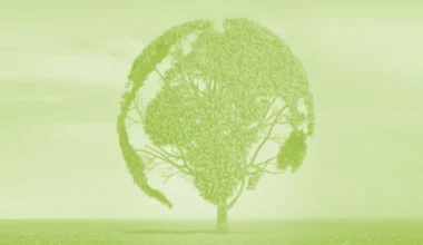Commission for the Environment, Climate change and Energy