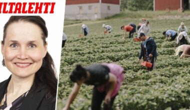 Juvalla pidettiin ”orjahuutokauppa”, jossa kaupattiin perussuomalaisten kansanedustaja