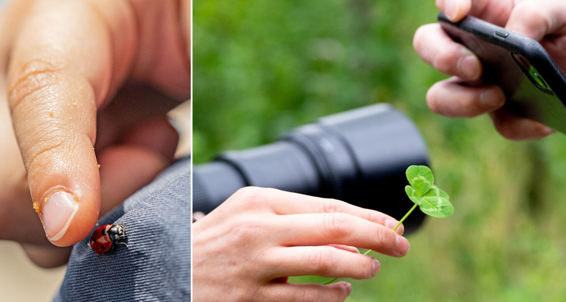 Hietasaaressa pääsee valokuvaamaan alueen ainut­laatuista luontoa – Mun Oulu