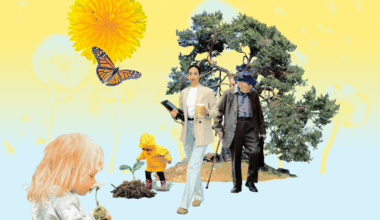 Sitra avaa uuden rahoitushaun: Luonnon terveyshyödyt osaksi suomalaisten arkea