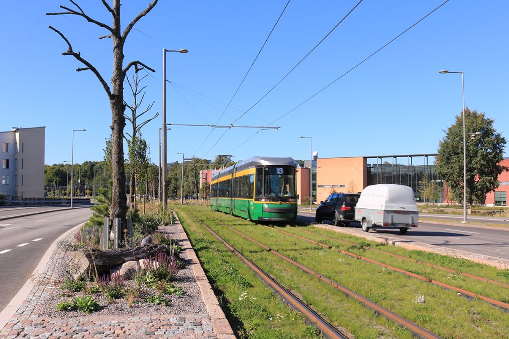 Pökkelypuut ja vieressä viherrata, jossa ratikka.