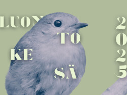 Luonto tarkastelussa – Kesän 2025 näyttelyt kutsuvat tutkimaan ihmisen ja luonnon suhdetta Jyväskylässä