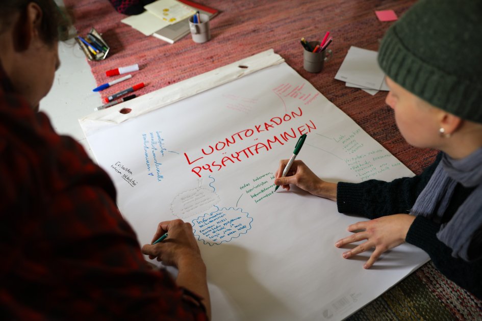 Ennätysmäärä ennallistamista – nuoret pääsivät Luontoliiton kesäleireillä luonnonhoitotalkoisiin