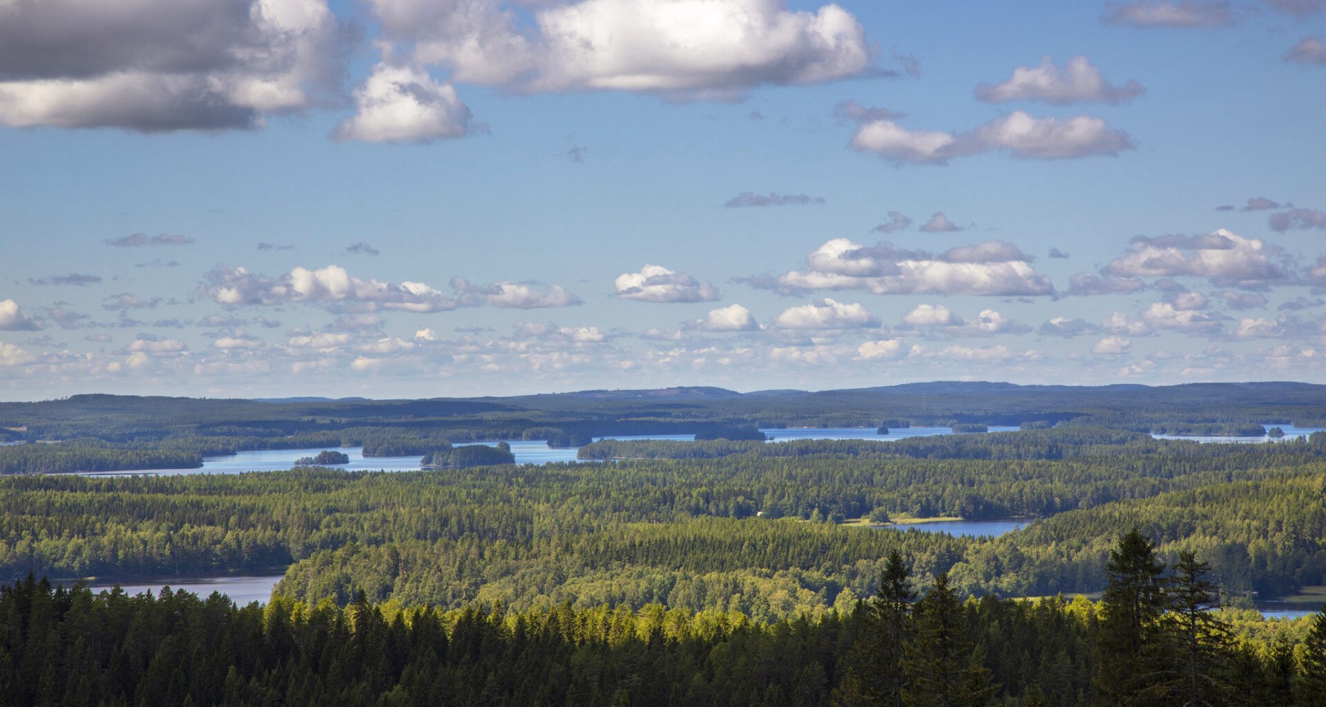 Järvi- ja metsämaisema kesäisenä päivänä.