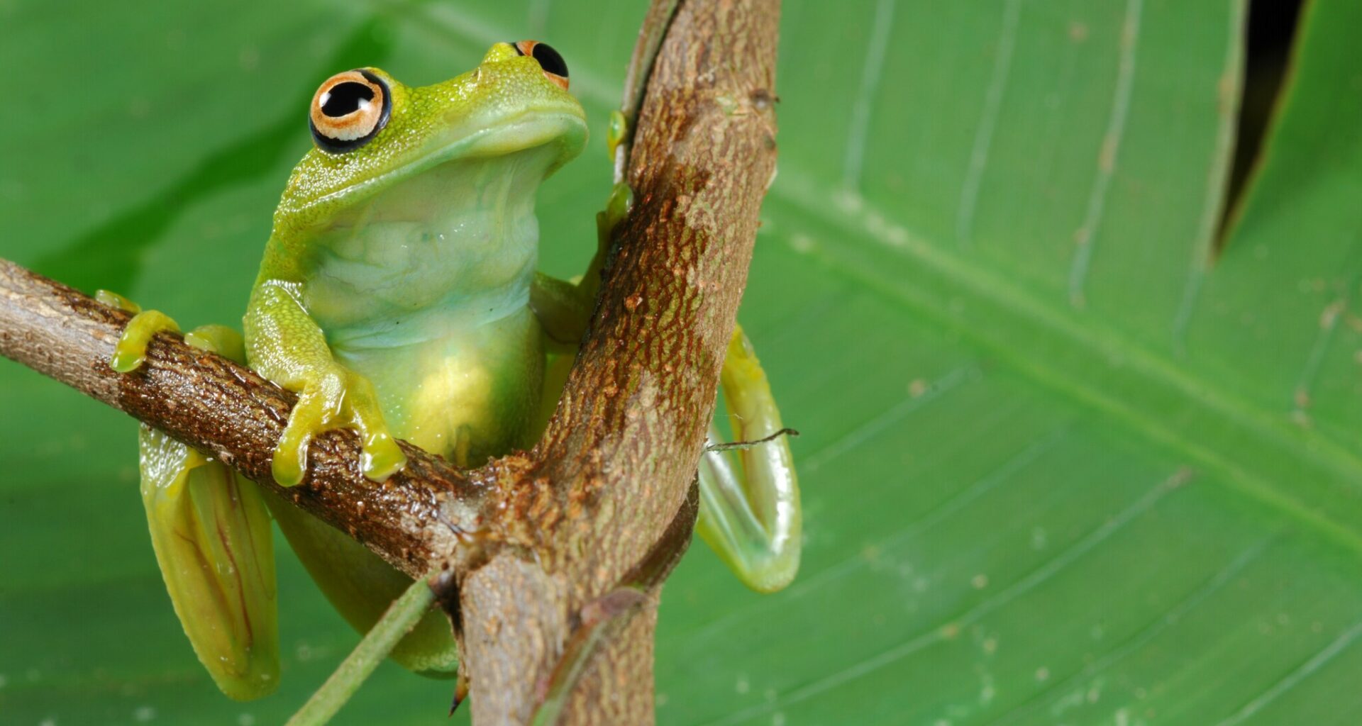 “Luonnosta ja sen tarjoamista hyödyistä on pidettävä huoli” – WWF Suomi
