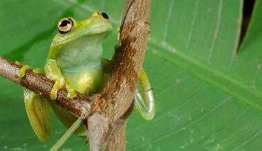 “Luonnosta ja sen tarjoamista hyödyistä on pidettävä huoli” – WWF Suomi