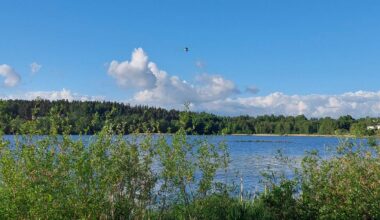 Lintuvesien kunnostuksien jatkot [Tampereen kaupunki - Luonto ja ympäristö