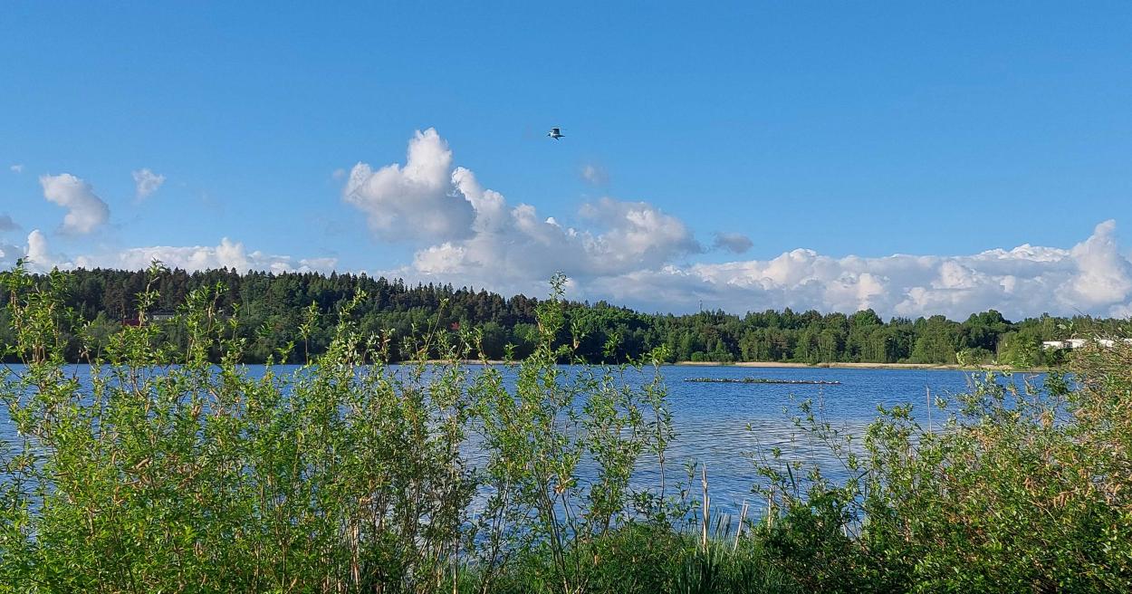 Lintuvesien kunnostuksien jatkot [Tampereen kaupunki - Luonto ja ympäristö
