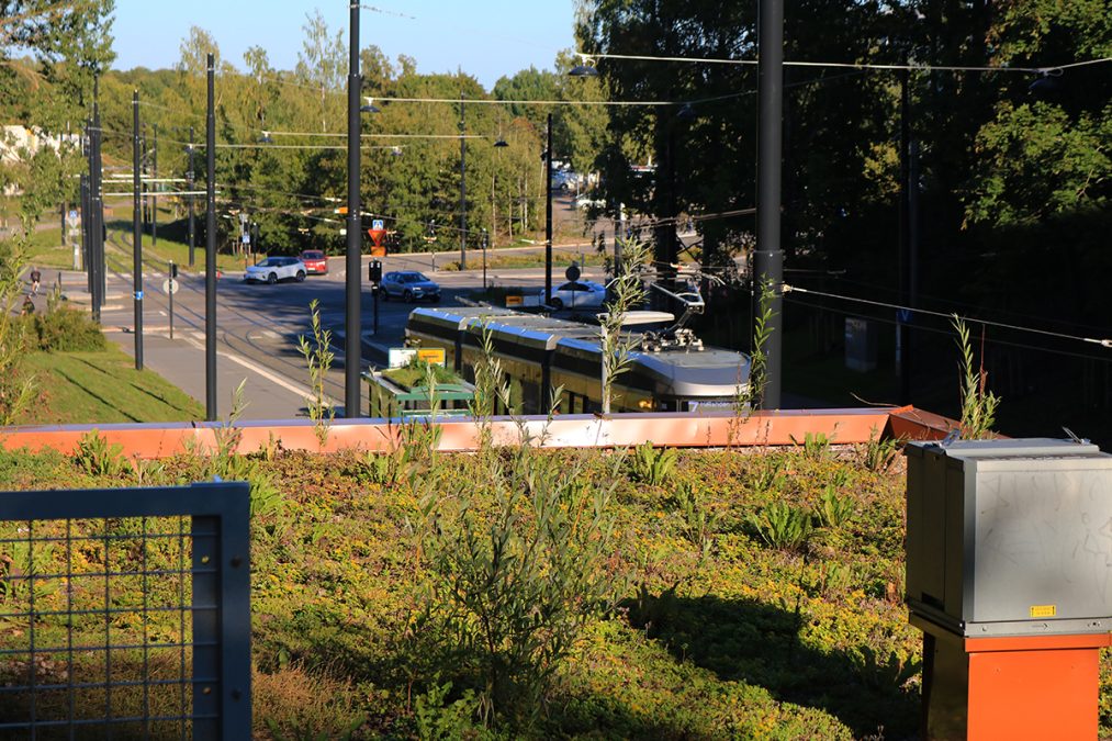 Sähkönsyöttöaseman kasvikatto, taustalla ratikka sekä Mäkelänkadun risteys.