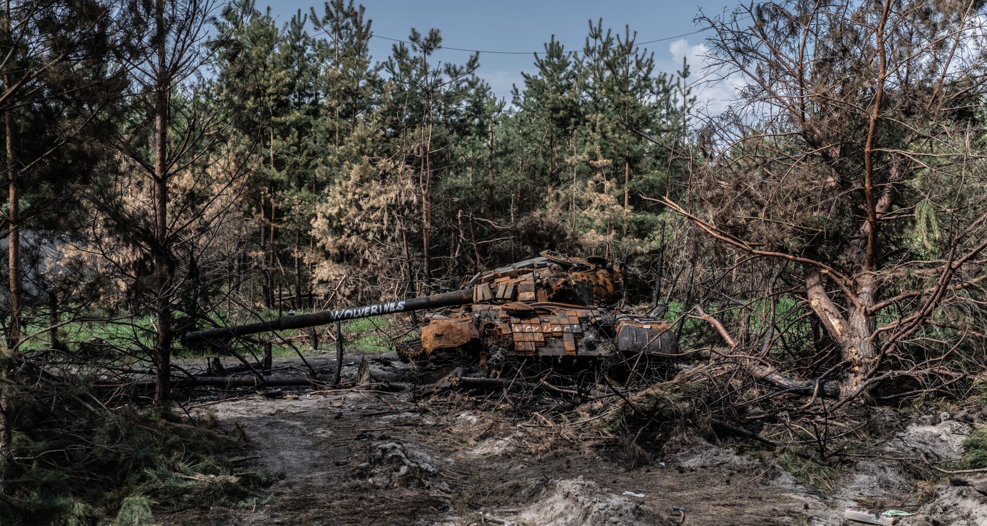 Luonto on sodan hiljainen uhri – WWF Ukrainan työ jatkuu sodasta huolimatta – WWF Suomi