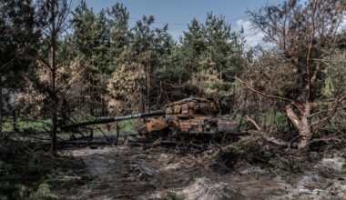 Luonto on sodan hiljainen uhri – WWF Ukrainan työ jatkuu sodasta huolimatta – WWF Suomi