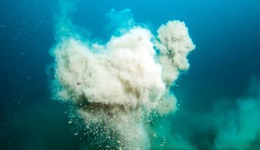 Löytö merestä haastaa käsityksen elämän alusta Maassa