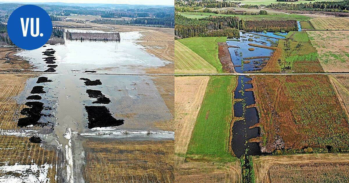 Ympäristö | Kuva: Kirkonkylän kupeeseen valmistui uusi kosteikko – tällainen vaikutus sillä on kiusallisiin tulviin | Paikalliset