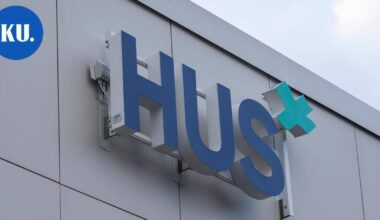 Hus lopettamassa taidetoimikunnan – taidehankinnoille 100 000 € katto, museotoimikunta supistuisi | Paikalliset