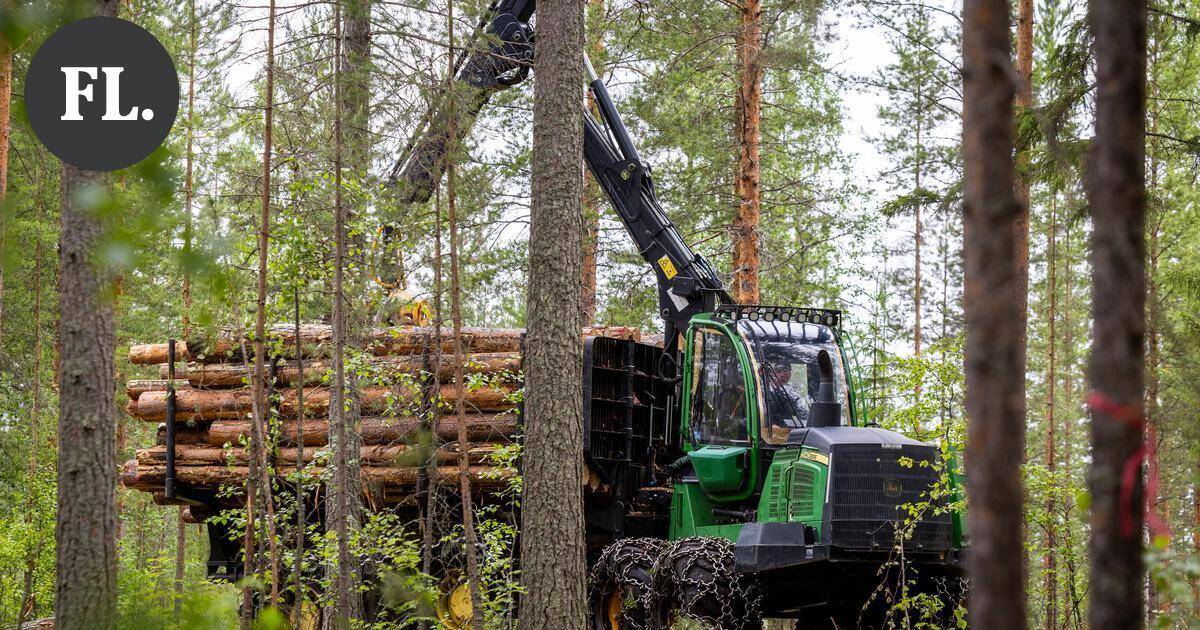 Mielipide | Luonto pärjäisi ilman meitä – pärjäämmekö me ilman luontoa? | Pääkirjoitus & mielipide