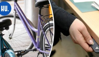 Uusi tori myy käytöstä poistettua tavaraa Helsingissä – polkupyörä 40 eurolla, sähköpöytä 50 eurolla | Paikalliset