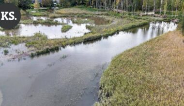 Itärantaan rakentui uusi luontopolku ja lintulava kosteikon eteen – Alueella voi tavata yli sata eri lintulajia | Paikalliset