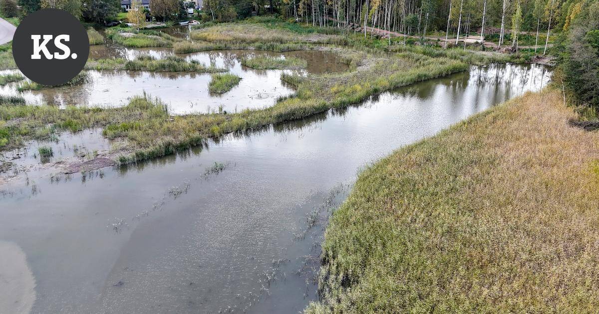 Itärantaan rakentui uusi luontopolku ja lintulava kosteikon eteen – Alueella voi tavata yli sata eri lintulajia | Paikalliset