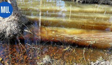 Ympäristö | Kilpijärven kunnostamisesta yleisötilaisuus maanantaina | Paikalliset