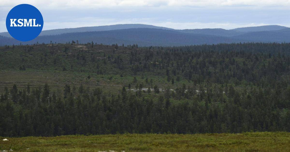 Luonnonperintösäätiölle lahjoitettiin 21 hehtaarin suojelualue Ivalossa | Uutissuomalainen
