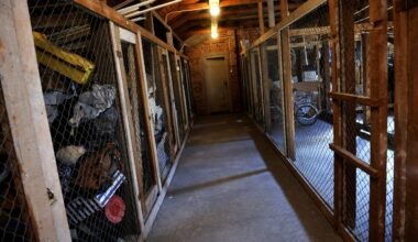 Kaapeissasi voi lojua turhaa tavaraa jopa 10000 euron edestä