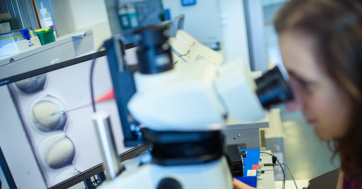 Maailma ei ole vielä valmis CRISPR-vauvoille, kertoo aihetta tutkinut komissio – Venäläisbiologi aikoo silti korjata periytyvän kuurouden
