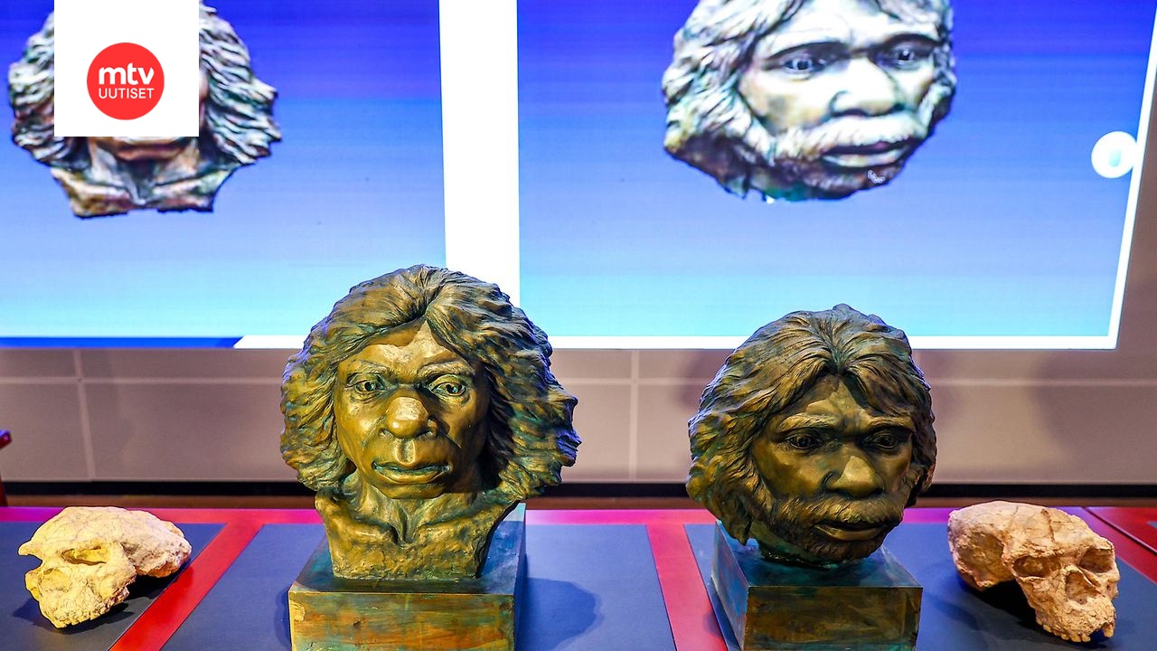 BBC: Miljoona vuotta vanha pääkallo järisyttää käsitystä ihmisen evoluutiosta