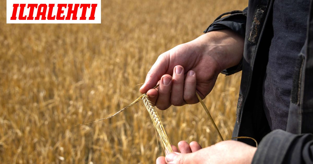 Työntekijä katosi Kouvolassa – Löytyi kuolleena